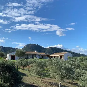  Maison d'hôtes Macciuneddu Country Retreat